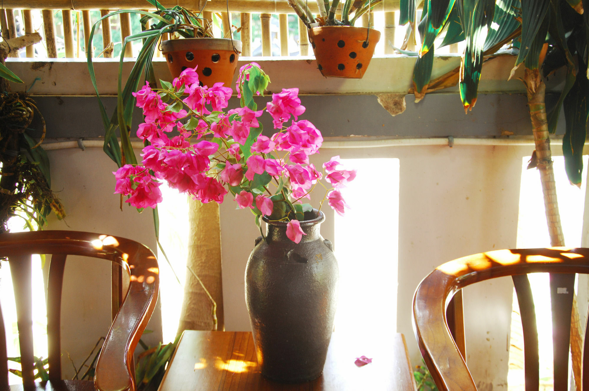 Seaside An Bang Homestay Hoi An Exterior photo